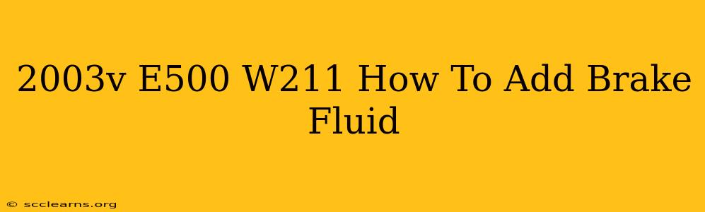 2003v E500 W211 How To Add Brake Fluid