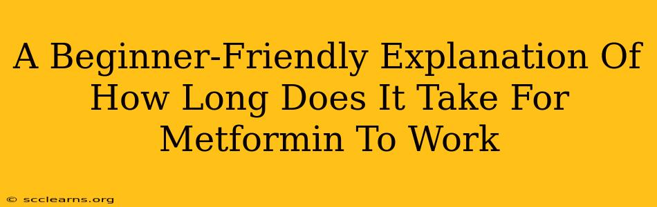 A Beginner-Friendly Explanation Of How Long Does It Take For Metformin To Work