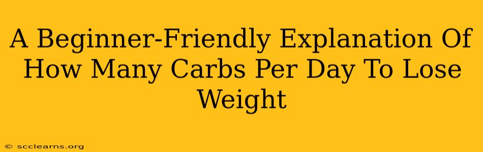 A Beginner-Friendly Explanation Of How Many Carbs Per Day To Lose Weight