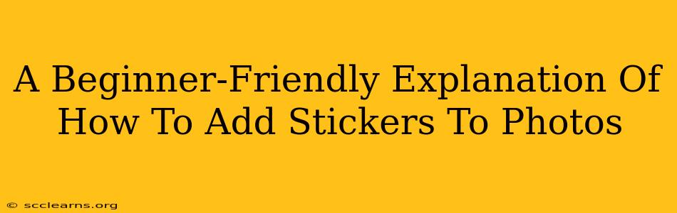 A Beginner-Friendly Explanation Of How To Add Stickers To Photos