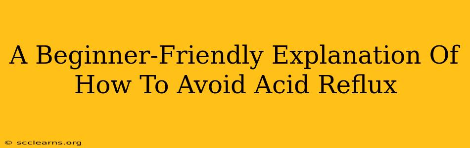 A Beginner-Friendly Explanation Of How To Avoid Acid Reflux