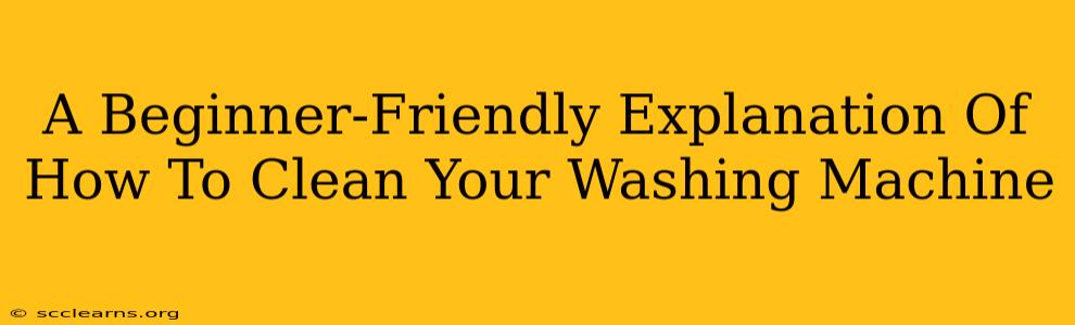 A Beginner-Friendly Explanation Of How To Clean Your Washing Machine