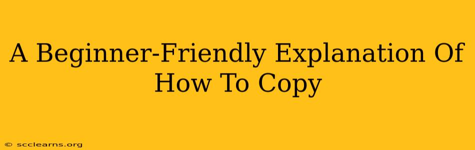 A Beginner-Friendly Explanation Of How To Copy