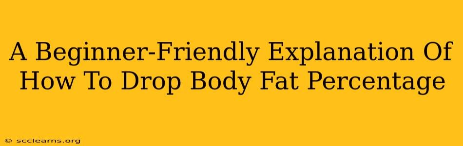 A Beginner-Friendly Explanation Of How To Drop Body Fat Percentage