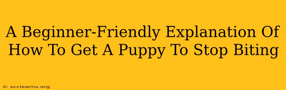 A Beginner-Friendly Explanation Of How To Get A Puppy To Stop Biting