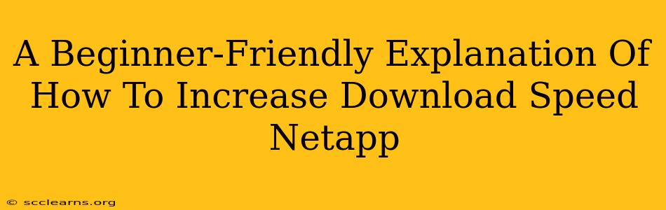 A Beginner-Friendly Explanation Of How To Increase Download Speed Netapp