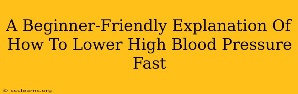 A Beginner-Friendly Explanation Of How To Lower High Blood Pressure Fast