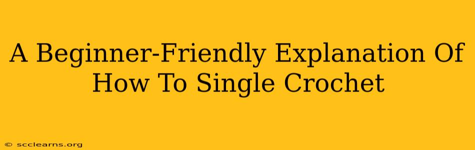 A Beginner-Friendly Explanation Of How To Single Crochet