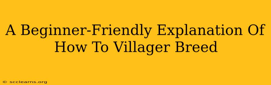 A Beginner-Friendly Explanation Of How To Villager Breed