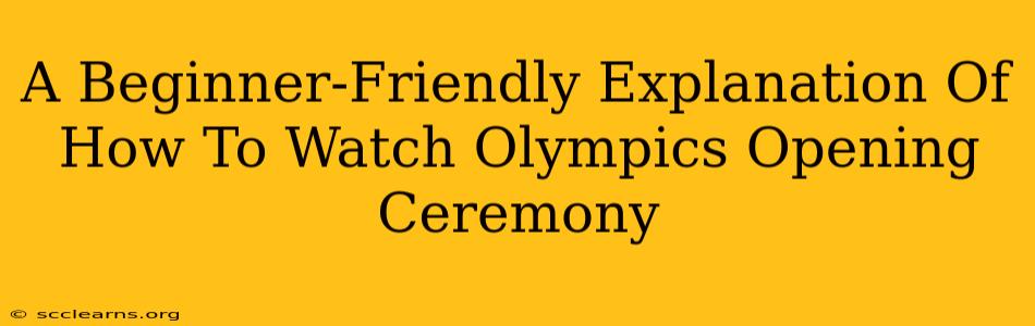 A Beginner-Friendly Explanation Of How To Watch Olympics Opening Ceremony