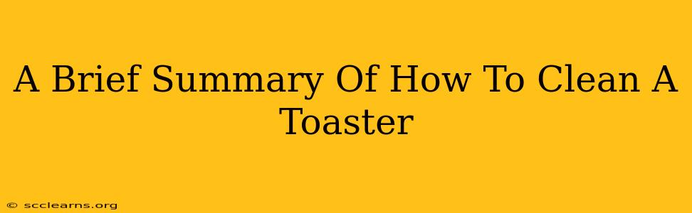 A Brief Summary Of How To Clean A Toaster