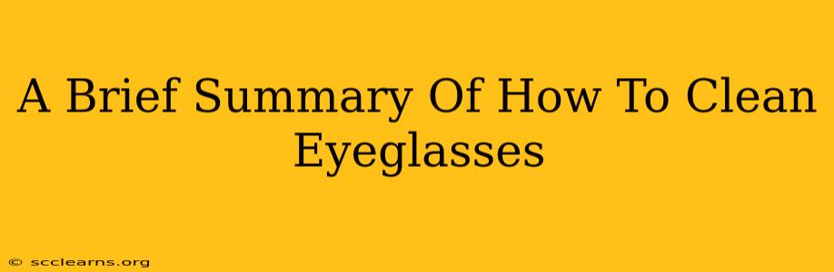 A Brief Summary Of How To Clean Eyeglasses