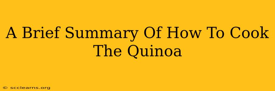 A Brief Summary Of How To Cook The Quinoa