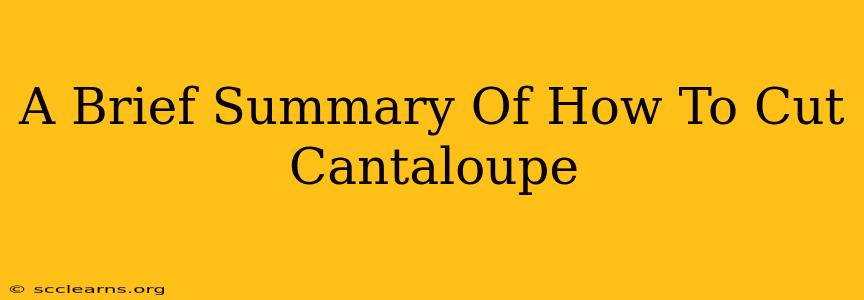 A Brief Summary Of How To Cut Cantaloupe