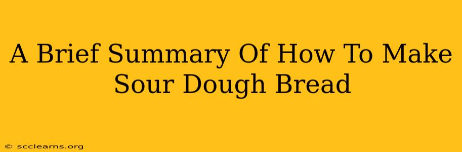 A Brief Summary Of How To Make Sour Dough Bread