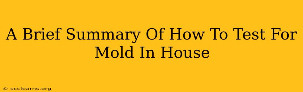 A Brief Summary Of How To Test For Mold In House