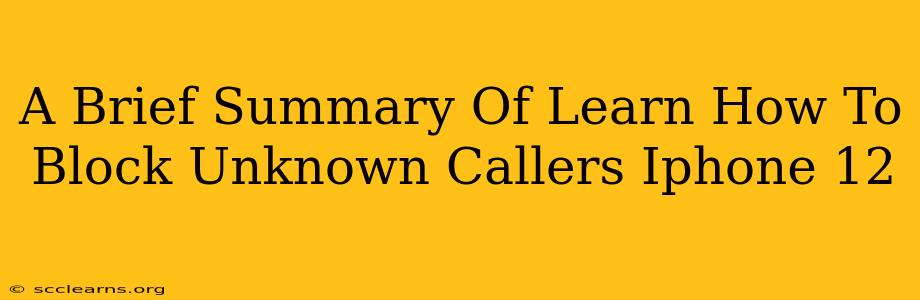 A Brief Summary Of Learn How To Block Unknown Callers Iphone 12