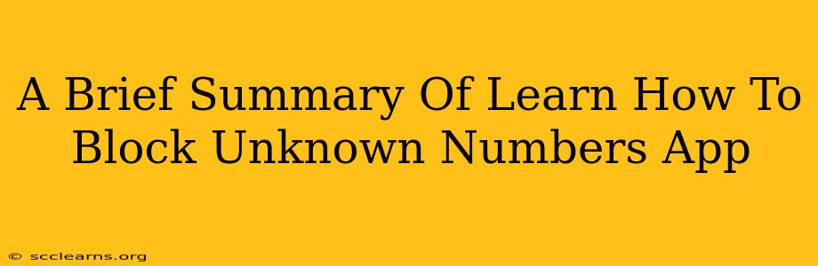 A Brief Summary Of Learn How To Block Unknown Numbers App