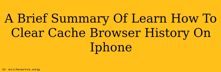 A Brief Summary Of Learn How To Clear Cache Browser History On Iphone