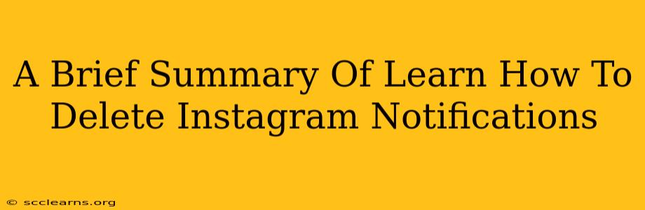 A Brief Summary Of Learn How To Delete Instagram Notifications