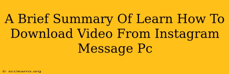 A Brief Summary Of Learn How To Download Video From Instagram Message Pc