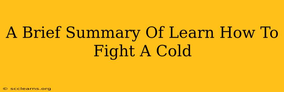 A Brief Summary Of Learn How To Fight A Cold