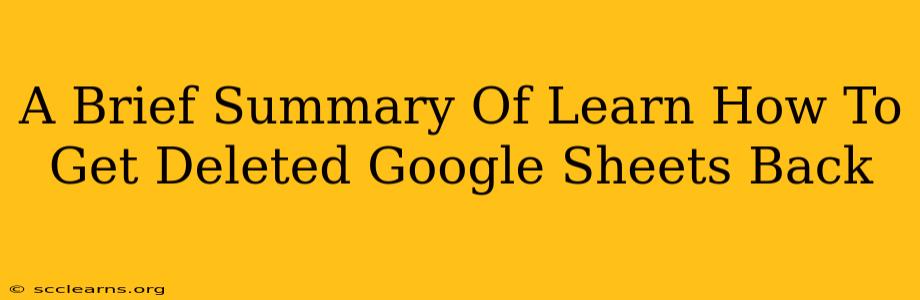 A Brief Summary Of Learn How To Get Deleted Google Sheets Back