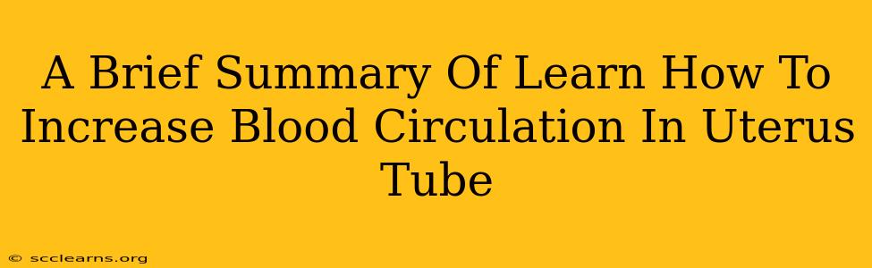 A Brief Summary Of Learn How To Increase Blood Circulation In Uterus Tube