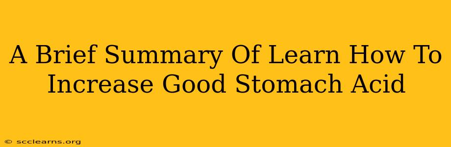 A Brief Summary Of Learn How To Increase Good Stomach Acid