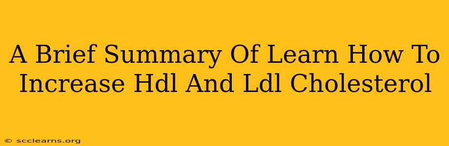 A Brief Summary Of Learn How To Increase Hdl And Ldl Cholesterol