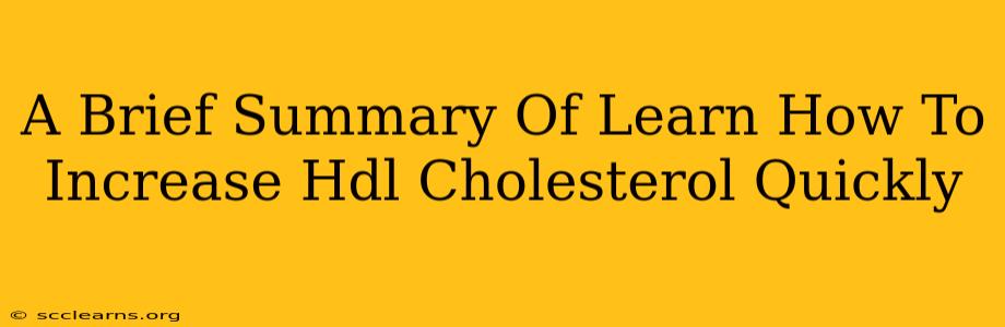 A Brief Summary Of Learn How To Increase Hdl Cholesterol Quickly