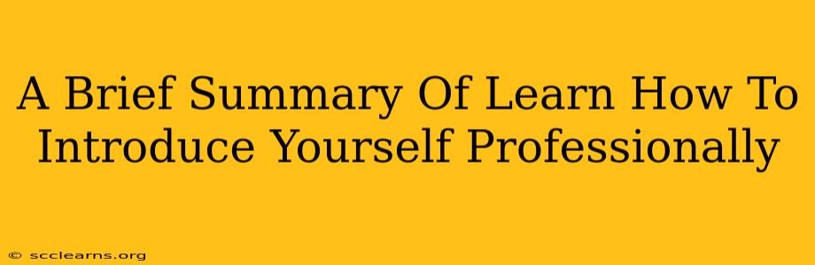 A Brief Summary Of Learn How To Introduce Yourself Professionally