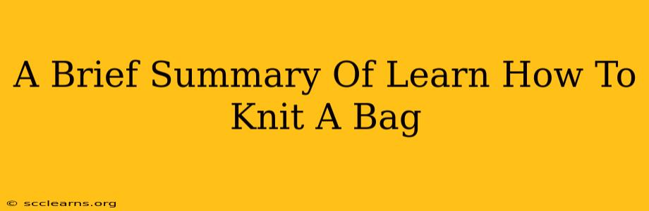 A Brief Summary Of Learn How To Knit A Bag