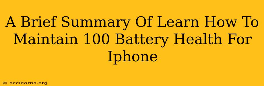 A Brief Summary Of Learn How To Maintain 100 Battery Health For Iphone