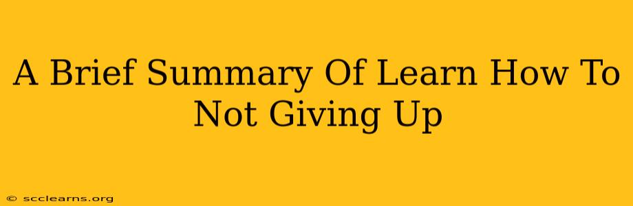 A Brief Summary Of Learn How To Not Giving Up