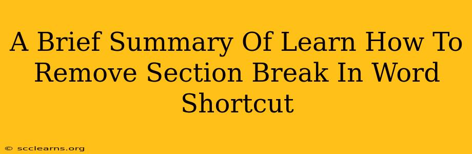 A Brief Summary Of Learn How To Remove Section Break In Word Shortcut