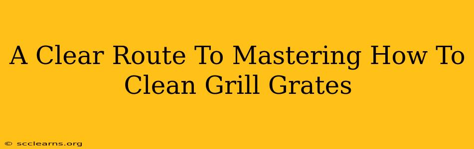 A Clear Route To Mastering How To Clean Grill Grates