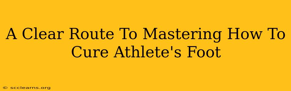 A Clear Route To Mastering How To Cure Athlete's Foot