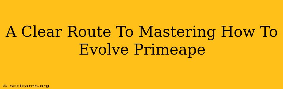 A Clear Route To Mastering How To Evolve Primeape