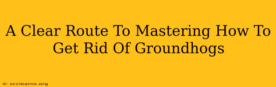 A Clear Route To Mastering How To Get Rid Of Groundhogs