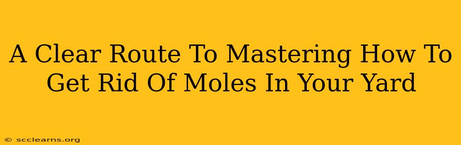 A Clear Route To Mastering How To Get Rid Of Moles In Your Yard