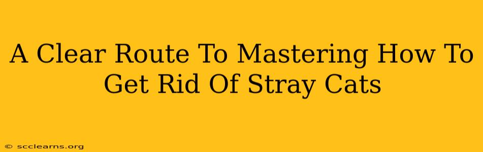 A Clear Route To Mastering How To Get Rid Of Stray Cats