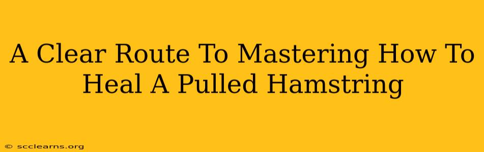 A Clear Route To Mastering How To Heal A Pulled Hamstring