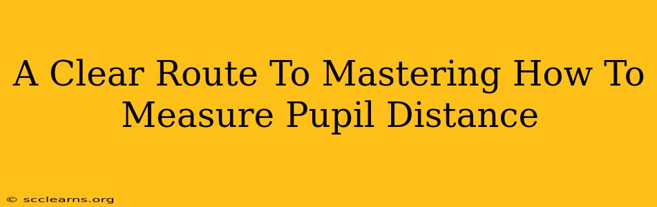 A Clear Route To Mastering How To Measure Pupil Distance