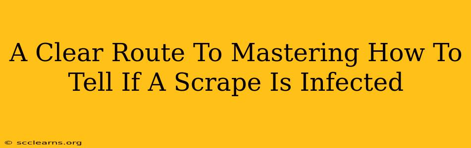 A Clear Route To Mastering How To Tell If A Scrape Is Infected