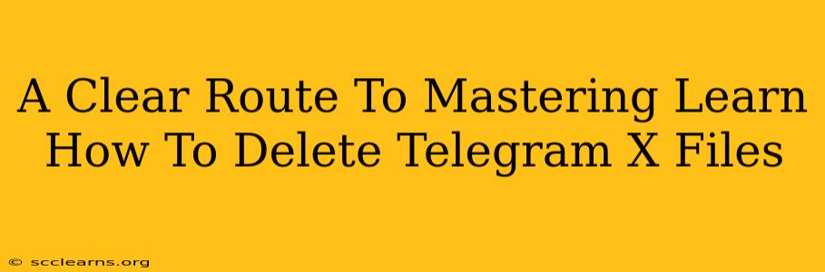 A Clear Route To Mastering Learn How To Delete Telegram X Files