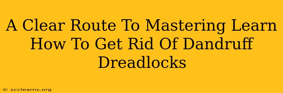 A Clear Route To Mastering Learn How To Get Rid Of Dandruff Dreadlocks