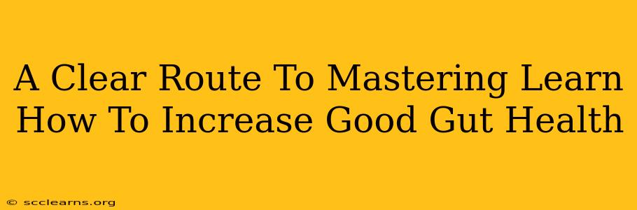 A Clear Route To Mastering Learn How To Increase Good Gut Health