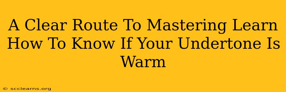 A Clear Route To Mastering Learn How To Know If Your Undertone Is Warm