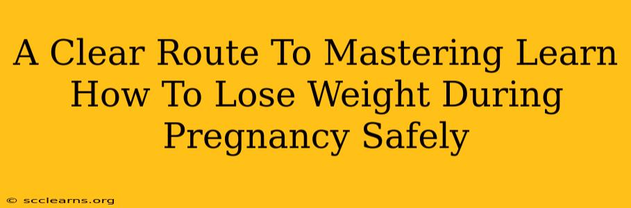 A Clear Route To Mastering Learn How To Lose Weight During Pregnancy Safely